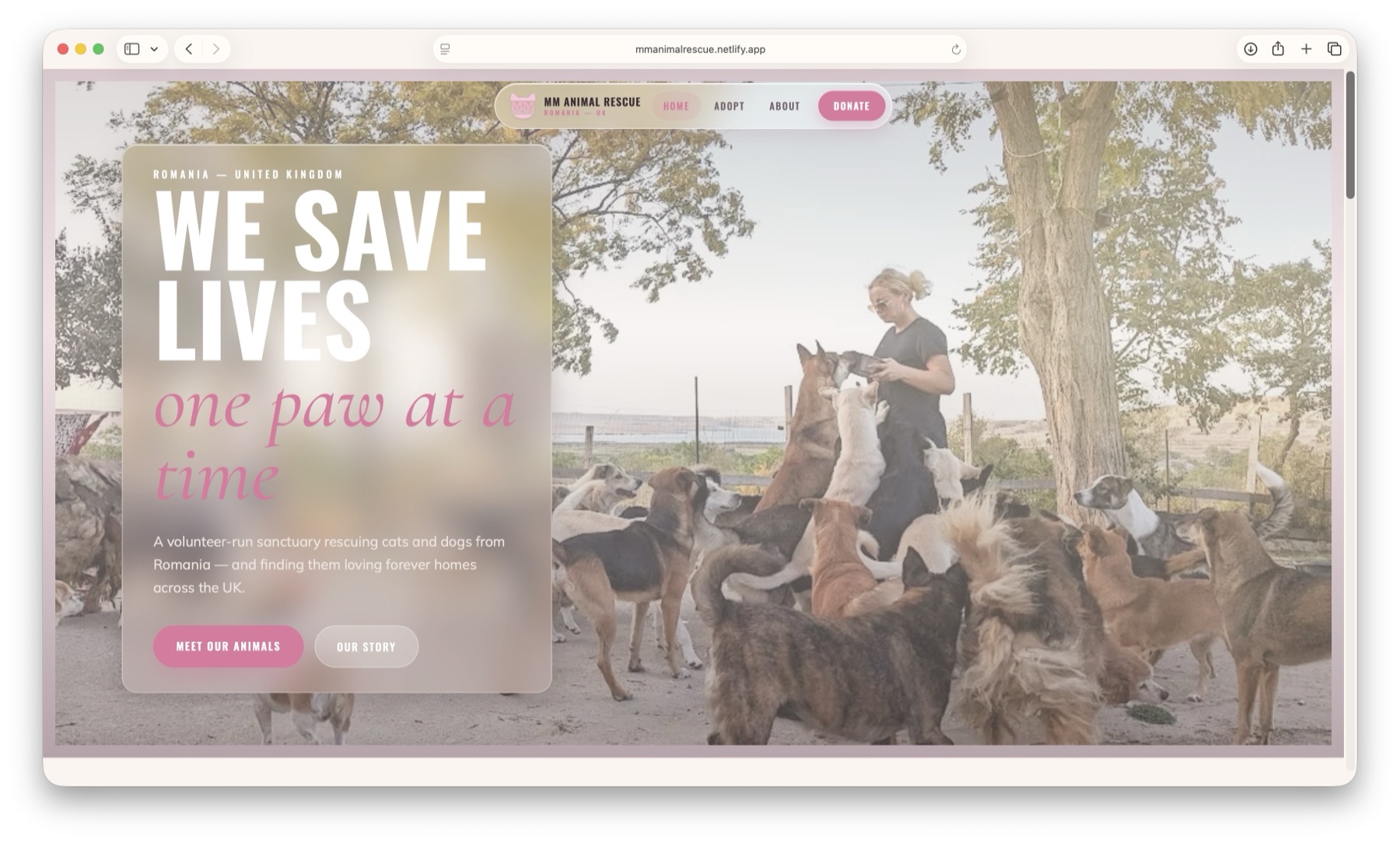 MM Animal Rescue volunteer website and content management system